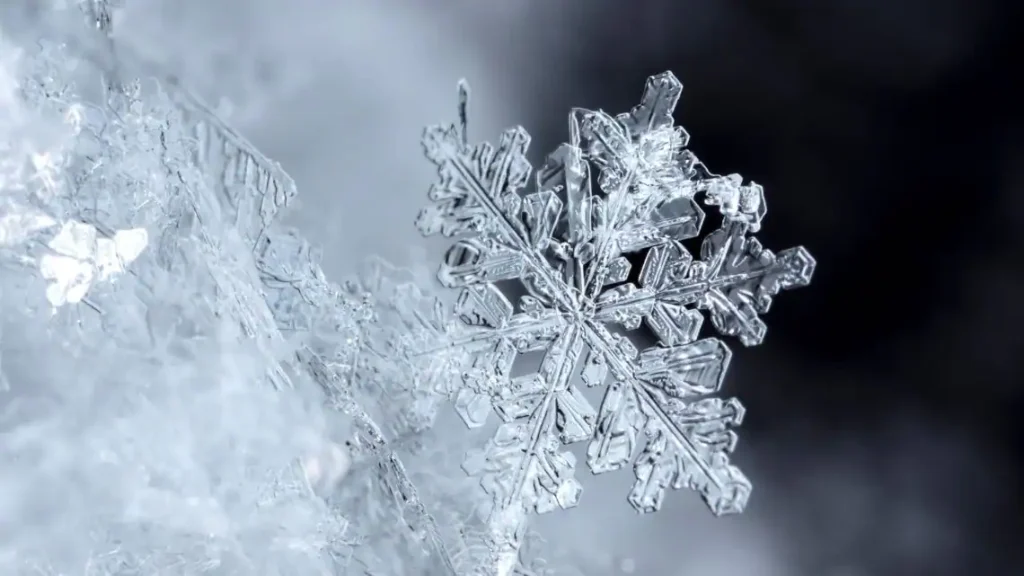 Photo of unique snowflakes, suggesting every person is also special.